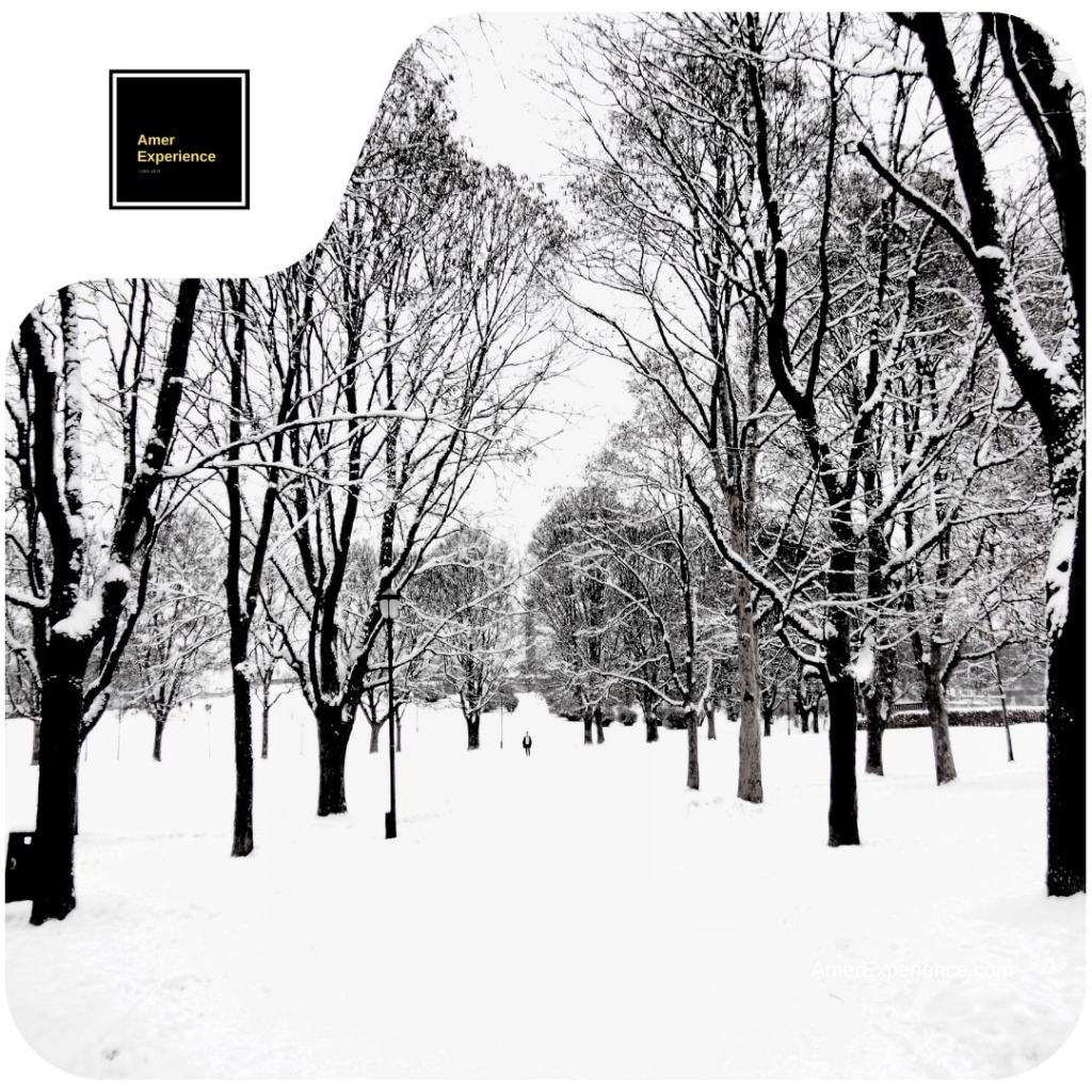 Snow-covered park with bare trees during winter in Oslo, Norway