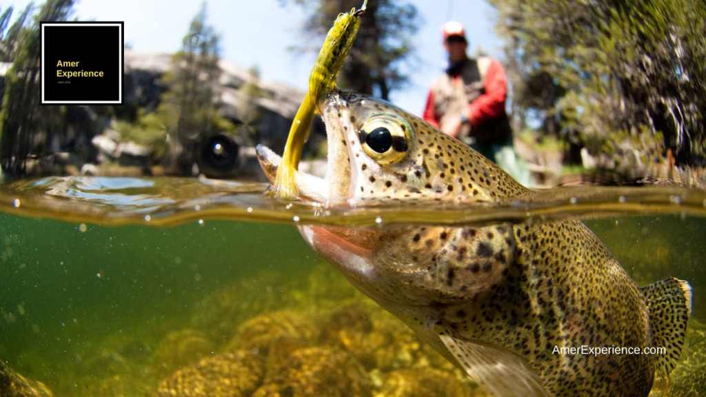 Fish biting the fly