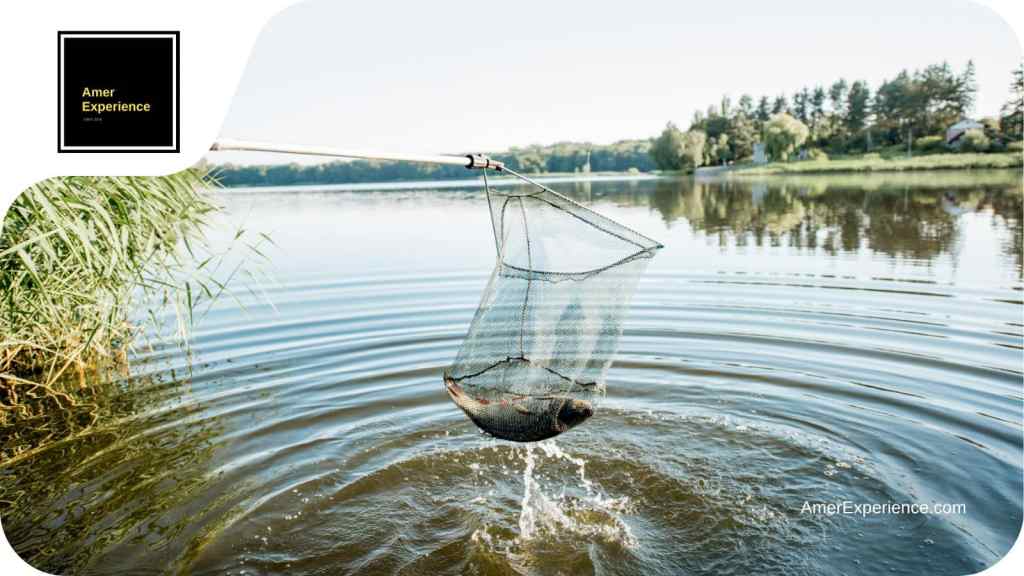 Fish catched in net
